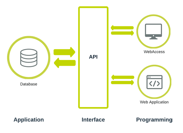 API Flow For Custom Web Application Development