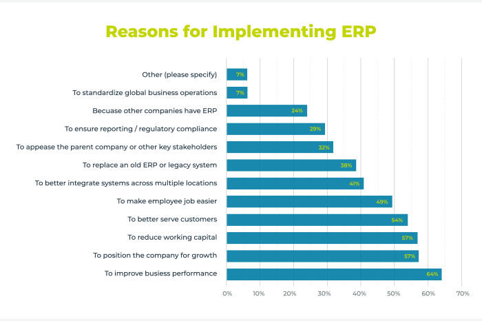 Reasons for implementing custom ERP software