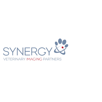 Large Synergy Logo