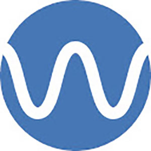 WAVE Tool Logo