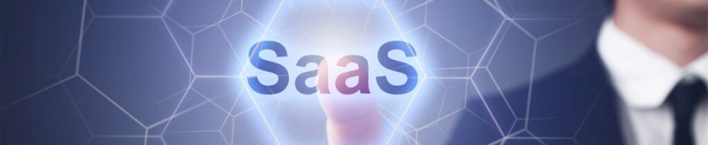 a software as a service expert determining which type of SaaS application to sell