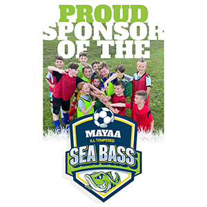 Sea Bass Soccer Flyer